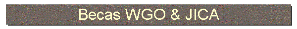 Becas WGO & JICA