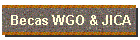 Becas WGO & JICA